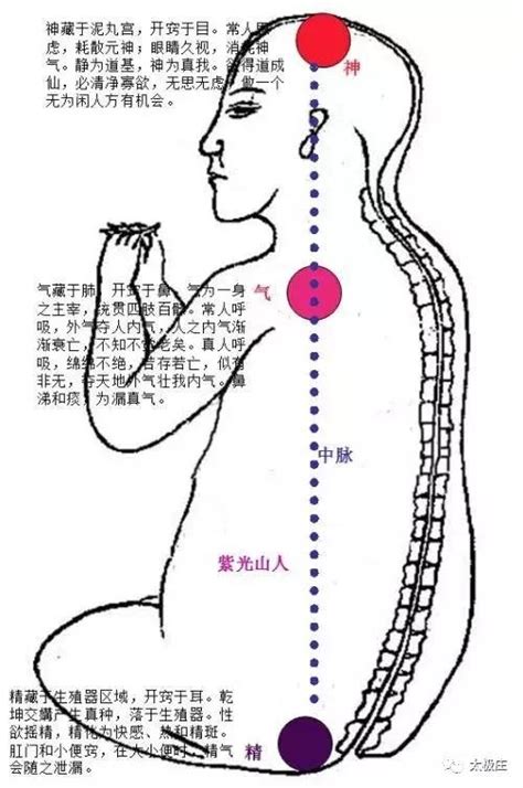 玄關竅位置|【玄關竅位置】玄關竅位置大解密！開啟「第三隻眼」。